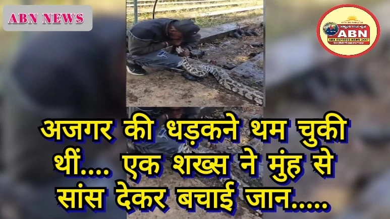 अजगर की धड़कनें थम चुकी थीं...शख्स ने मुंह से सांस देकर ऐसे बचाई जान, देखें VIDEO