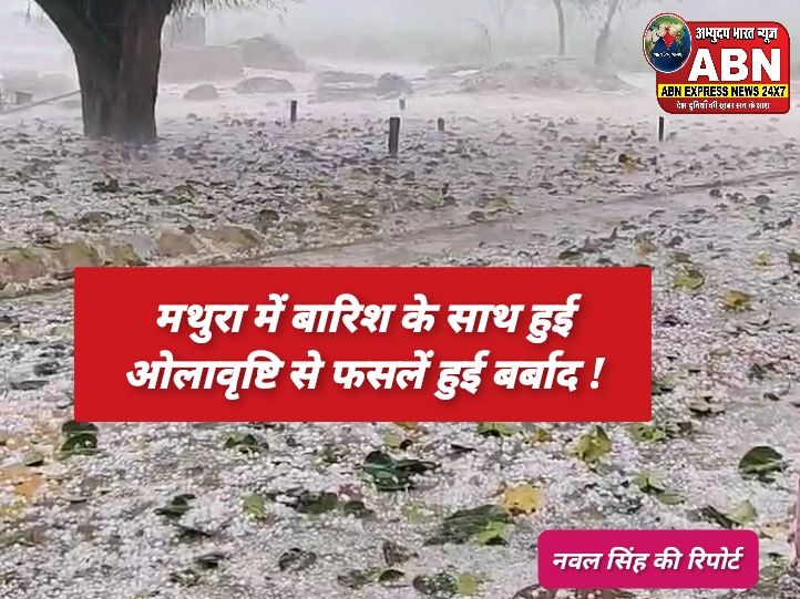 संभल, मथुरा, हाथरस... वेस्ट यूपी में बारिश और ओलावृष्टि का कहर, फसलें हुईं बर्बाद...