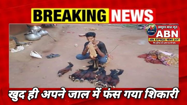 खुद ही फंसा शिकारी! दुर्लभ गिलहरी का शिकार करने वाला आरोपी गिरफ्तार, सोशल मीडिया बना सबूत...