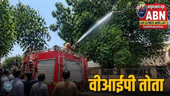 अधिकारी के पालतू तोते को पेड़ से उतारने के लिए पहुंची फायर ब्रिगेड, हजारों लीटर पानी बहाया, नारायणपुर में अजीब मामला