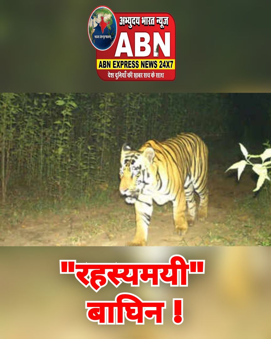 छत्तीसगढ़ के उदंती टाइगर रिजर्व में मिली 'रहस्यमयी' बाघिन, देश के किसी डेटाबेस में नहीं मिला मैच